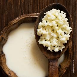 Holzschüssel mit weißem Kefir, auf der ein Holzlöffel mmit weißen Kefirkristallen liegt